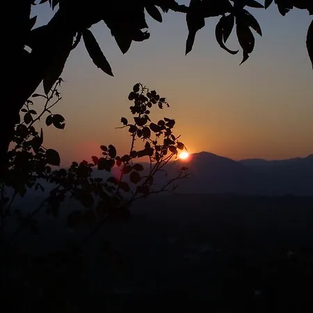 Forni Rosaia