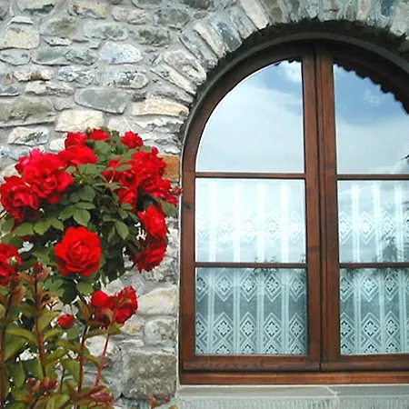 Forni Rosaia *