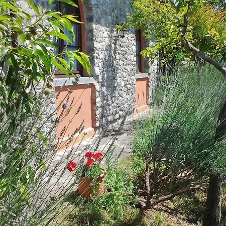 Forni Rosaia Κατάλυμα σε φάρμα